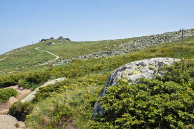 Bulgaristan 'ın Vitosha Dağı' nın İnanılmaz Bahar Manzarası