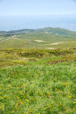 Bulgaristan 'ın Vitosha Dağı' nın İnanılmaz Bahar Manzarası