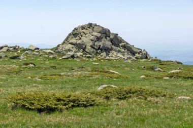 Bulgaristan 'ın Vitosha Dağı' nın İnanılmaz Bahar Manzarası