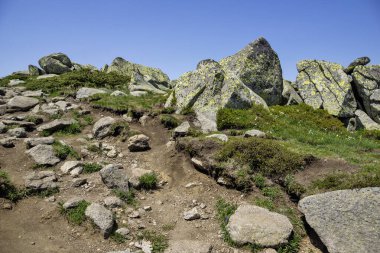 Bulgaristan 'ın Vitosha Dağı' nın İnanılmaz Bahar Manzarası