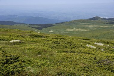 Bulgaristan 'ın Vitosha Dağı' nın İnanılmaz Bahar Manzarası