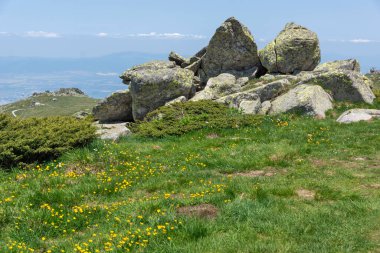 Bulgaristan 'ın Vitosha Dağı' nın İnanılmaz Bahar Manzarası