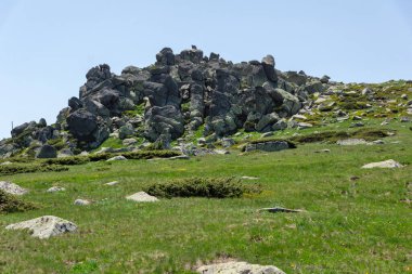 Bulgaristan 'ın Vitosha Dağı' nın İnanılmaz Bahar Manzarası