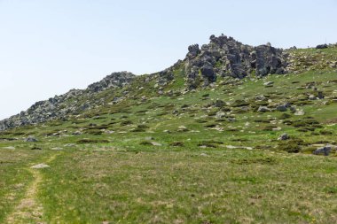 Bulgaristan 'ın Vitosha Dağı' nın İnanılmaz Bahar Manzarası