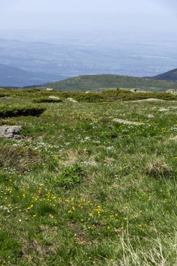 Bulgaristan 'ın Vitosha Dağı' nın İnanılmaz Bahar Manzarası