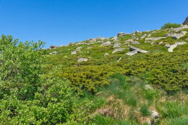 Bulgaristan 'ın Vitosha Dağı' nın İnanılmaz Bahar Manzarası