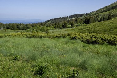 Bulgaristan 'ın Vitosha Dağı' nın İnanılmaz Bahar Manzarası