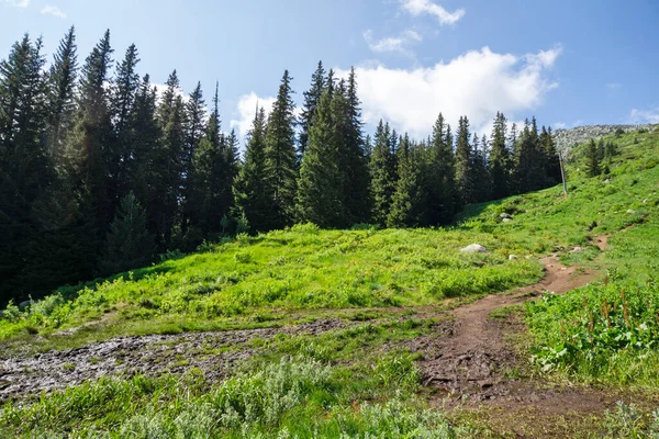 Bulgaristan 'ın Vitosha Dağı' nın İnanılmaz Bahar Manzarası
