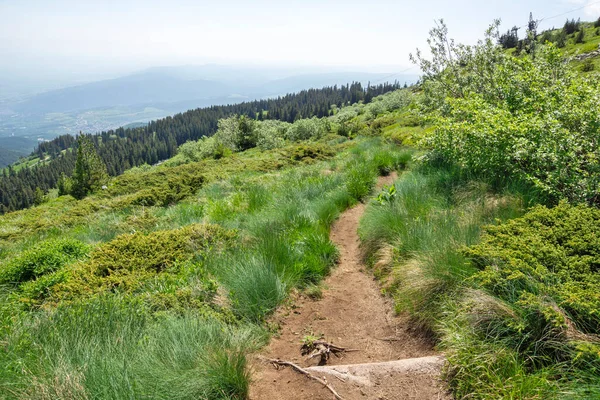 Bulgaristan 'ın Vitosha Dağı' nın İnanılmaz Bahar Manzarası