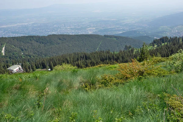 Bulgaristan 'ın Vitosha Dağı' nın İnanılmaz Bahar Manzarası