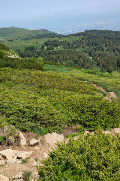 Bulgaristan 'ın Vitosha Dağı' nın İnanılmaz Bahar Manzarası