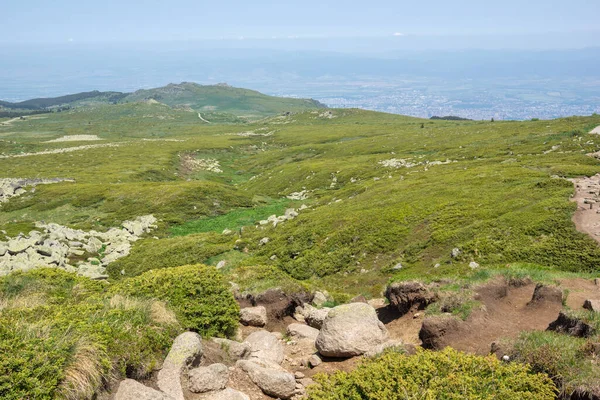 Bulgaristan 'ın Vitosha Dağı' nın İnanılmaz Bahar Manzarası