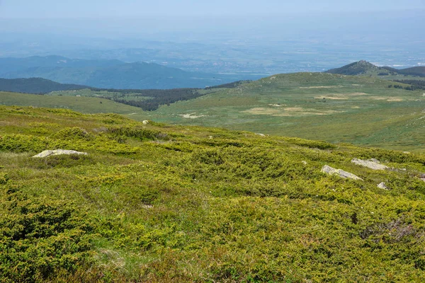 Bulgaristan 'ın Vitosha Dağı' nın İnanılmaz Bahar Manzarası