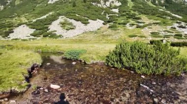 Bulgaristan 'ın Banderitsa bölgesindeki Pirin Dağı' nın şaşırtıcı yaz manzarası