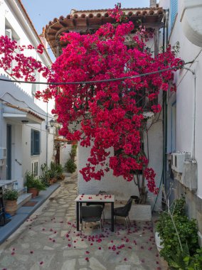 Skiathos, Sporades, Thessaly, Yunanistan 'ın inanılmaz manzarası