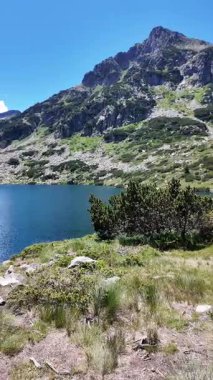 Bulgaristan 'ın Popovo Gölü yakınlarındaki Pirin Dağı' nın İnanılmaz Yaz Manzarası