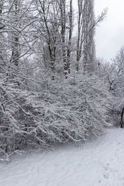Bulgaristan 'ın Sofya kentindeki South Park' ın şaşırtıcı kış manzarası