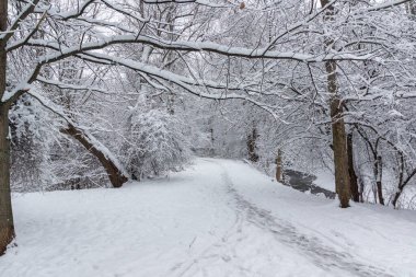 Bulgaristan 'ın Sofya kentindeki South Park' ın şaşırtıcı kış manzarası