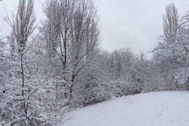 Bulgaristan 'ın Sofya kentindeki South Park' ın şaşırtıcı kış manzarası