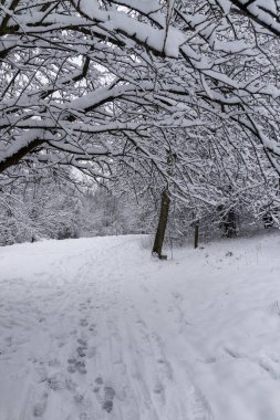 Bulgaristan 'ın Sofya kentindeki South Park' ın şaşırtıcı kış manzarası