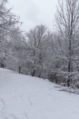 Bulgaristan 'ın Sofya kentindeki South Park' ın şaşırtıcı kış manzarası