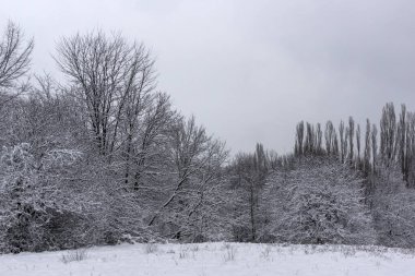 Bulgaristan 'ın Sofya kentindeki South Park' ın şaşırtıcı kış manzarası