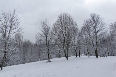 Bulgaristan 'ın Sofya kentindeki South Park' ın şaşırtıcı kış manzarası