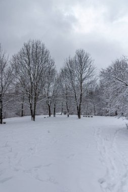 Bulgaristan 'ın Sofya kentindeki South Park' ın şaşırtıcı kış manzarası