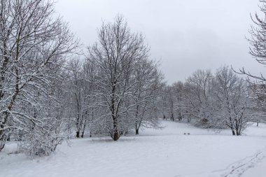 Bulgaristan 'ın Sofya kentindeki South Park' ın şaşırtıcı kış manzarası