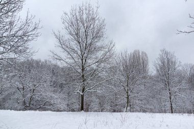 Bulgaristan 'ın Sofya kentindeki South Park' ın şaşırtıcı kış manzarası