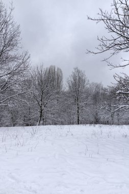 Bulgaristan 'ın Sofya kentindeki South Park' ın şaşırtıcı kış manzarası