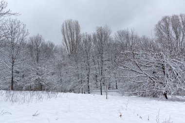 Bulgaristan 'ın Sofya kentindeki South Park' ın şaşırtıcı kış manzarası