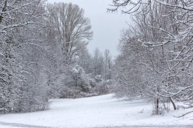 Bulgaristan 'ın Sofya kentindeki South Park' ın şaşırtıcı kış manzarası