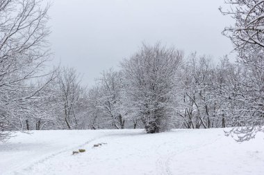 Bulgaristan 'ın Sofya kentindeki South Park' ın şaşırtıcı kış manzarası