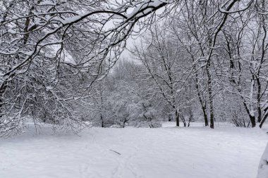 Bulgaristan 'ın Sofya kentindeki South Park' ın şaşırtıcı kış manzarası