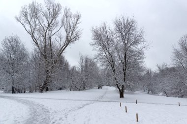 Bulgaristan 'ın Sofya kentindeki South Park' ın şaşırtıcı kış manzarası