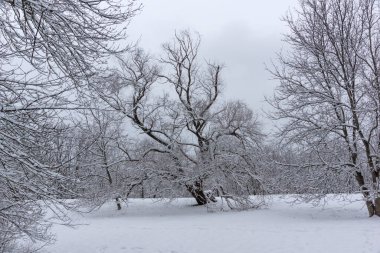 Bulgaristan 'ın Sofya kentindeki South Park' ın şaşırtıcı kış manzarası