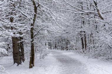 Bulgaristan 'ın Sofya kentindeki South Park' ın şaşırtıcı kış manzarası