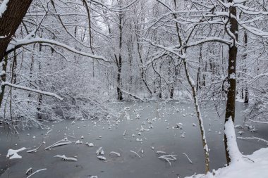 Bulgaristan 'ın Sofya kentindeki South Park' ın şaşırtıcı kış manzarası