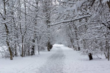 Bulgaristan 'ın Sofya kentindeki South Park' ın şaşırtıcı kış manzarası