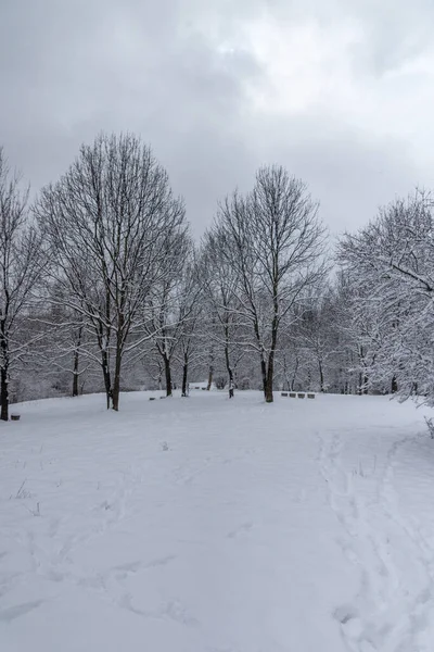 Bulgaristan 'ın Sofya kentindeki South Park' ın şaşırtıcı kış manzarası