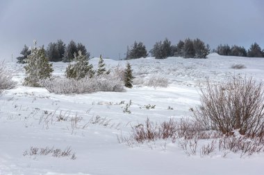 Bulgaristan 'ın Sofya Şehir Bölgesi, Vitosha Dağı' nın İnanılmaz Kış manzarası