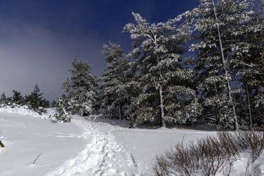 Bulgaristan 'ın Sofya Şehir Bölgesi, Vitosha Dağı' nın İnanılmaz Kış manzarası