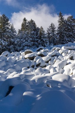 Bulgaristan 'ın Sofya Şehir Bölgesi, Vitosha Dağı' nın İnanılmaz Kış manzarası