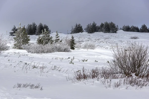 Bulgaristan 'ın Sofya Şehir Bölgesi, Vitosha Dağı' nın İnanılmaz Kış manzarası