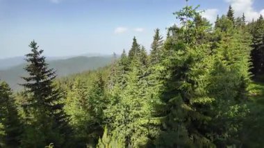 Bulgaristan 'ın Yedi Rila Gölü yakınlarındaki Rila Dağı' nın muhteşem manzarası