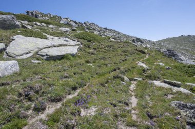 Bulgaristan 'ın Kalin zirvesi yakınlarındaki Rila Dağı' nın İnanılmaz Yaz Manzarası