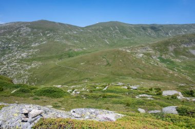 Bulgaristan 'ın Kalin zirvesi yakınlarındaki Rila Dağı' nın İnanılmaz Yaz Manzarası