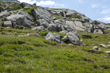 Bulgaristan 'ın Kalin zirvesi yakınlarındaki Rila Dağı' nın İnanılmaz Yaz Manzarası