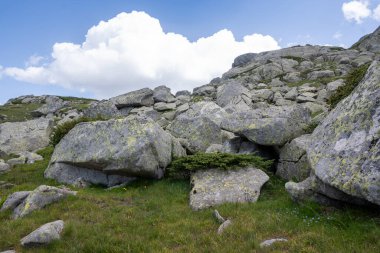 Bulgaristan 'ın Kalin zirvesi yakınlarındaki Rila Dağı' nın İnanılmaz Yaz Manzarası